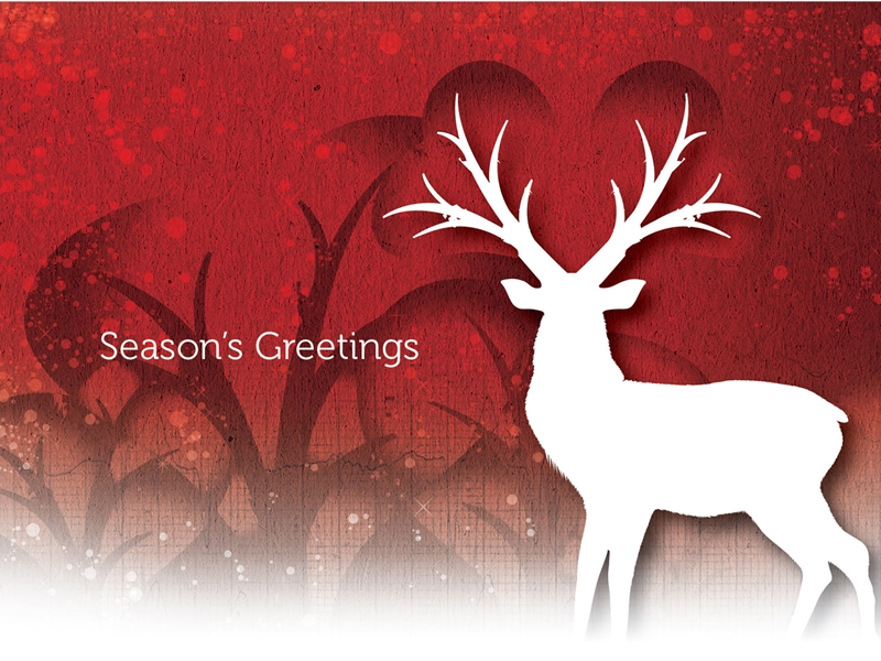 Deer Christmas card